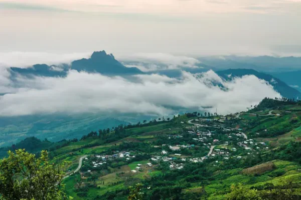 Almora tour package