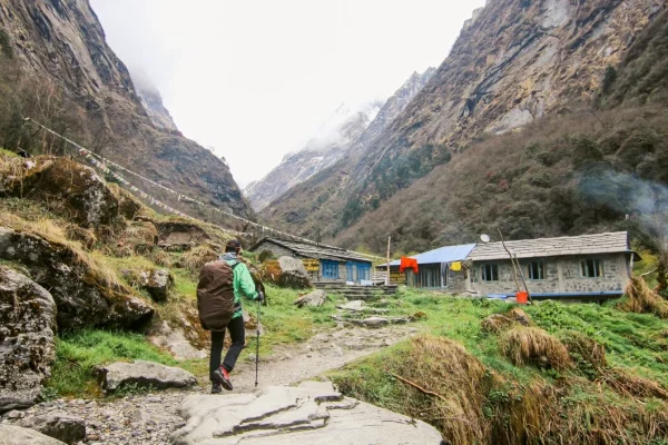 gangotri tour package