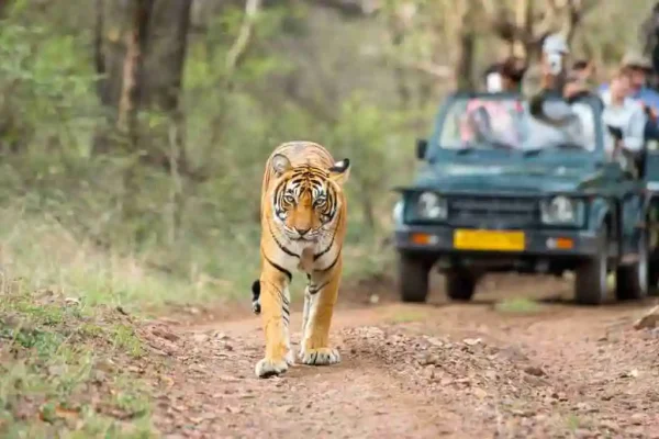 best Nainital tour package