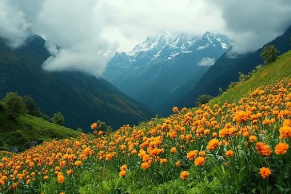 Valley of flowers trek